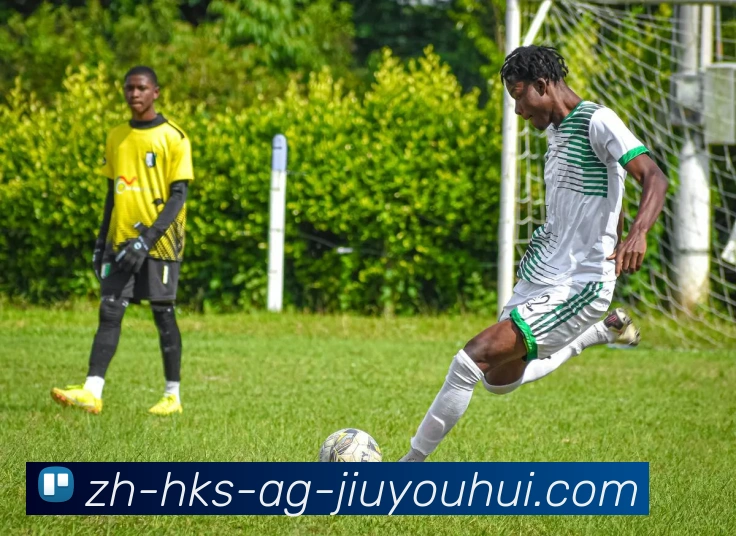 AG九游会官网服务体系